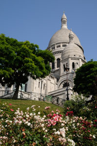 Sacre Coeur Flowers